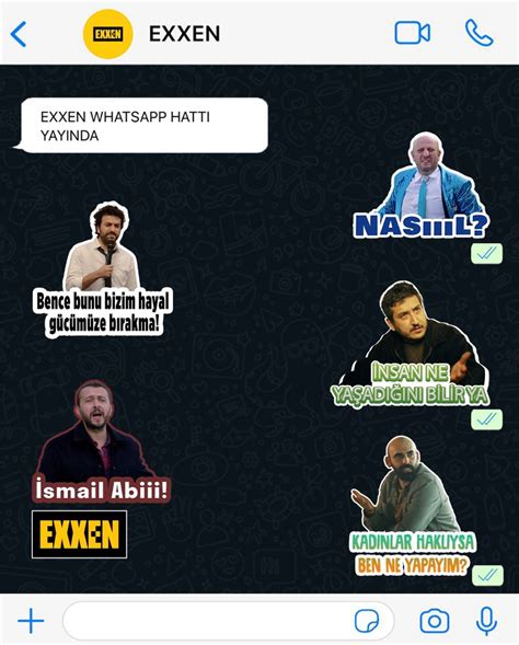 Showbet Whatsapp Destek Hattı